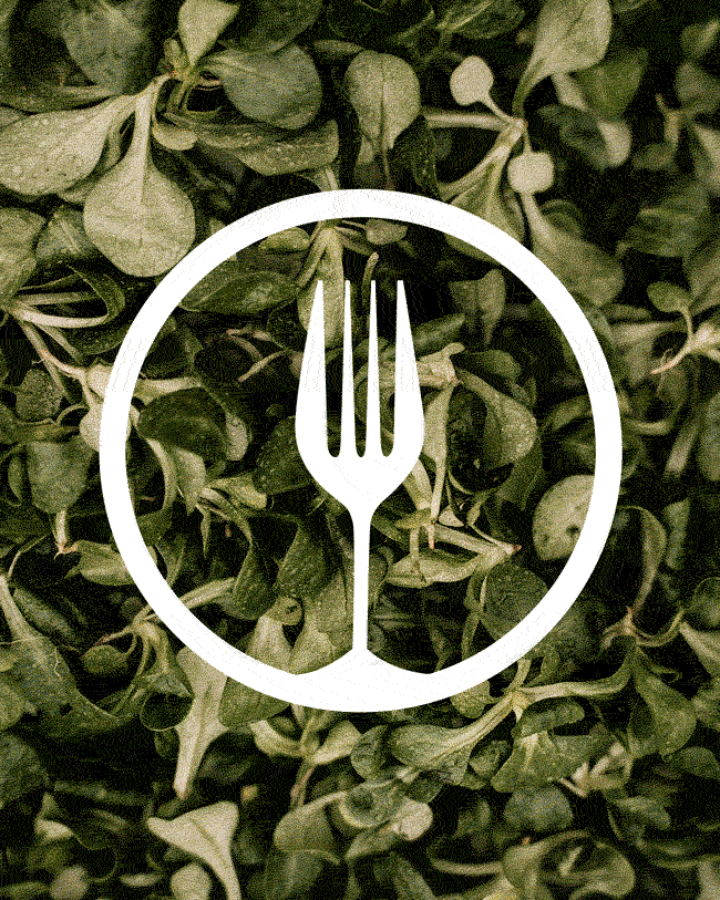 Das neue Schmidt Z&KO Quintett