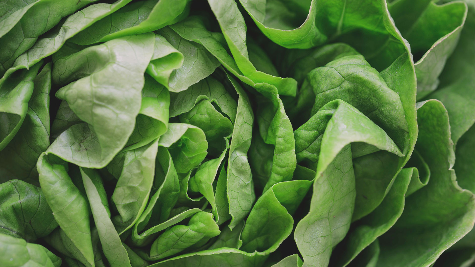 Ladies-Brunch – Genuss am Frauentag